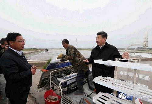 总书记问几位农民，合作社是什么时候成立的，土地流转后收入怎么样，还有什么打算。