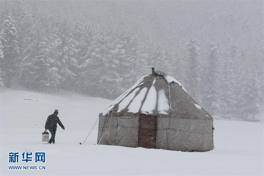 #（生态）（2）天山五月飞雪