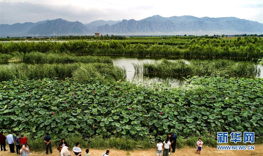 （美丽中国）（6）壶流河湿地 江南风韵