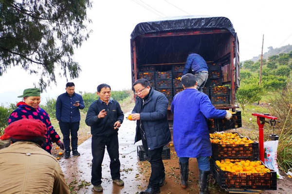 谭永峰（右三）在扶贫基地与果农沟通椪柑种植情况。资料图