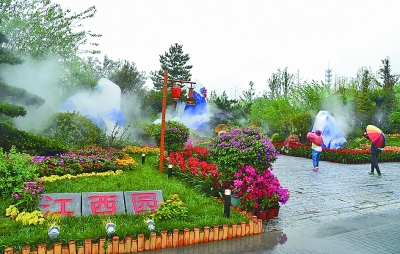 “江西日”：漫山遍野映山红