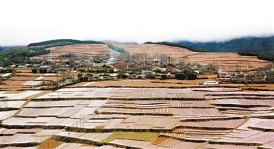 春风送暖大凉山——四川凉山的脱贫之路