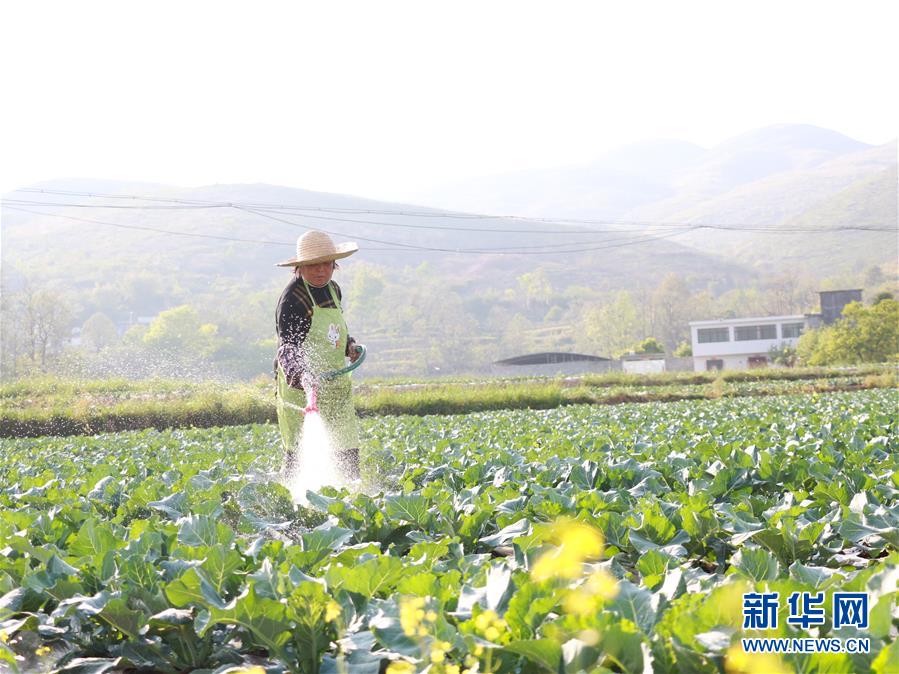 （决战决胜脱贫攻坚·图文互动）（3）逐项逐户排查补齐脱贫攻坚“短板”——贵州晴隆县扶贫一线工作见闻