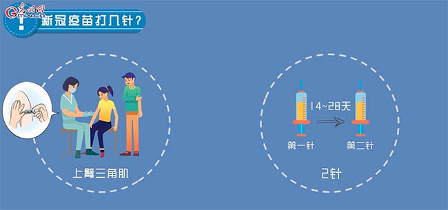 【画说防疫】新冠疫苗怎么打？打几针？