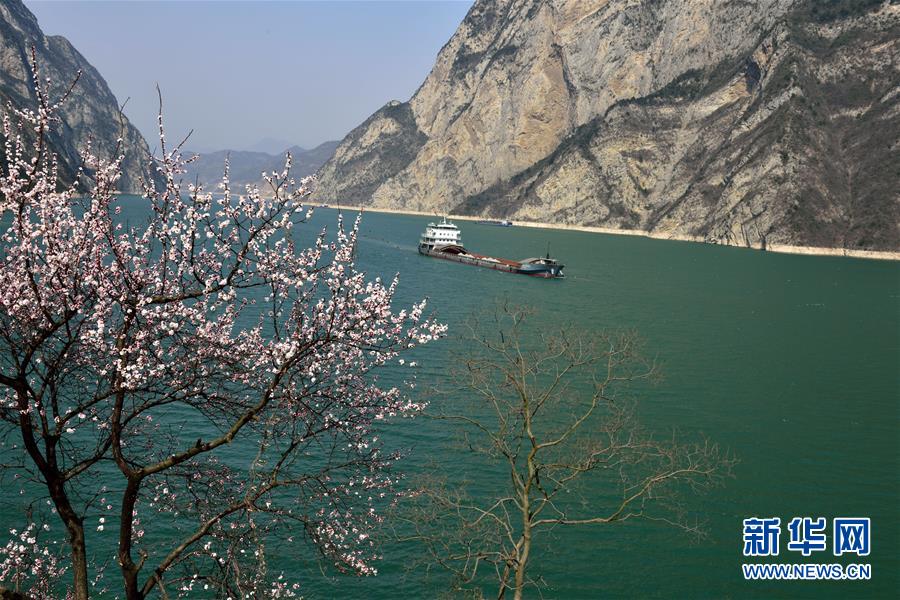 #（生态）（1）花开三峡