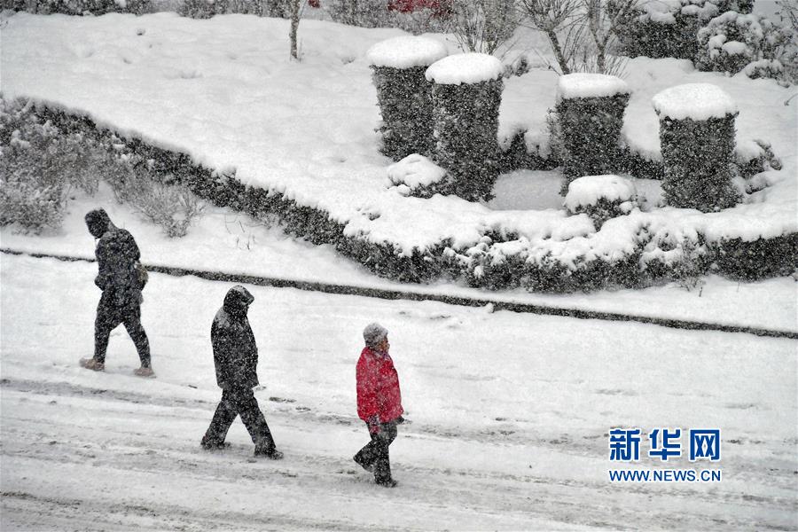 #（新华视界）（5）雪中行