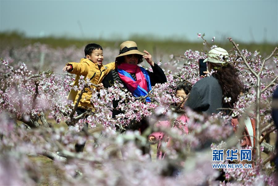 #（经济）（2）山东郯城：“农家花园”助力乡村旅游