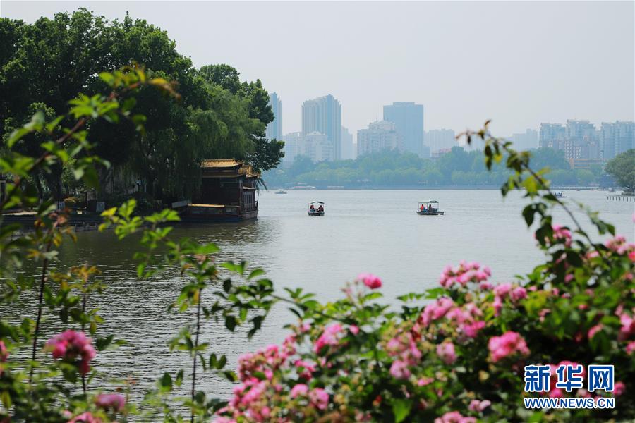 #（社会）（4）山东济南：初夏泉城美如画