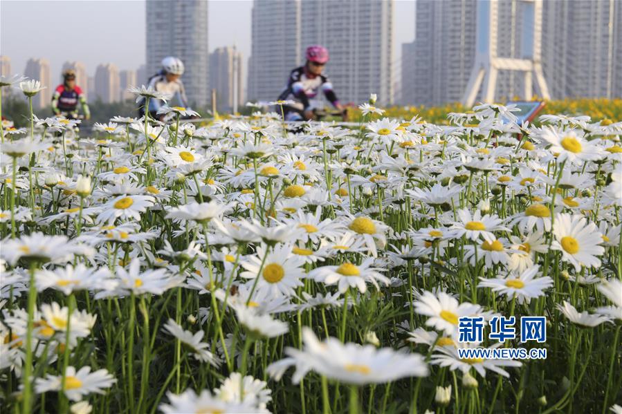 #（新华视界）（3）山东临沂：城市花海美如画