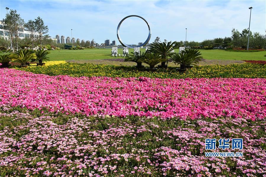 （环境）（2）山东荣成：花开樱花湖