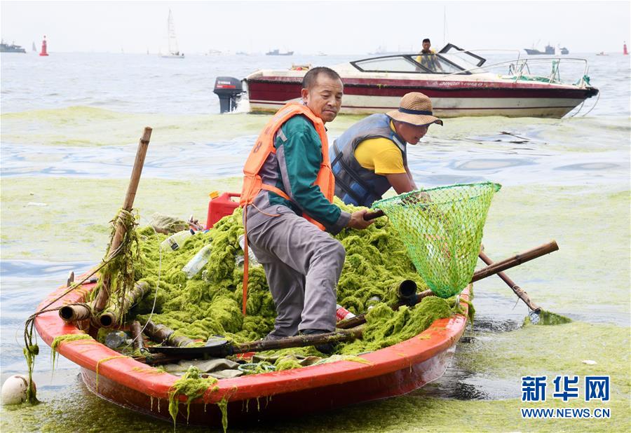 （社会）（1）海岸环卫 保洁海滨