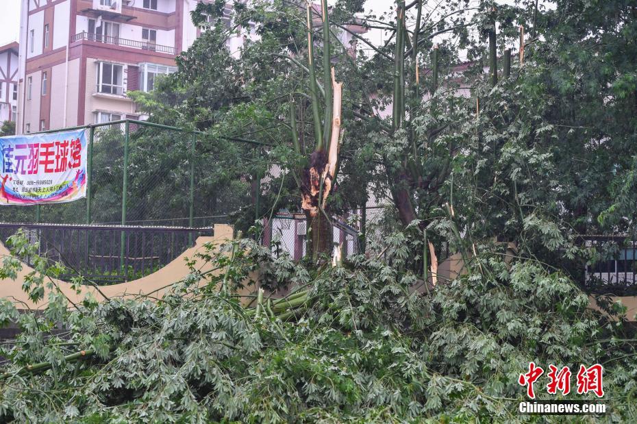 台风“韦帕”携强风雨登陆海南 海口多路段积水成“泽国”