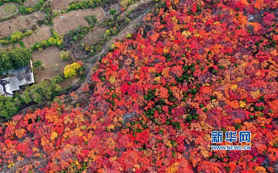 （美丽中国）（1）平分秋色