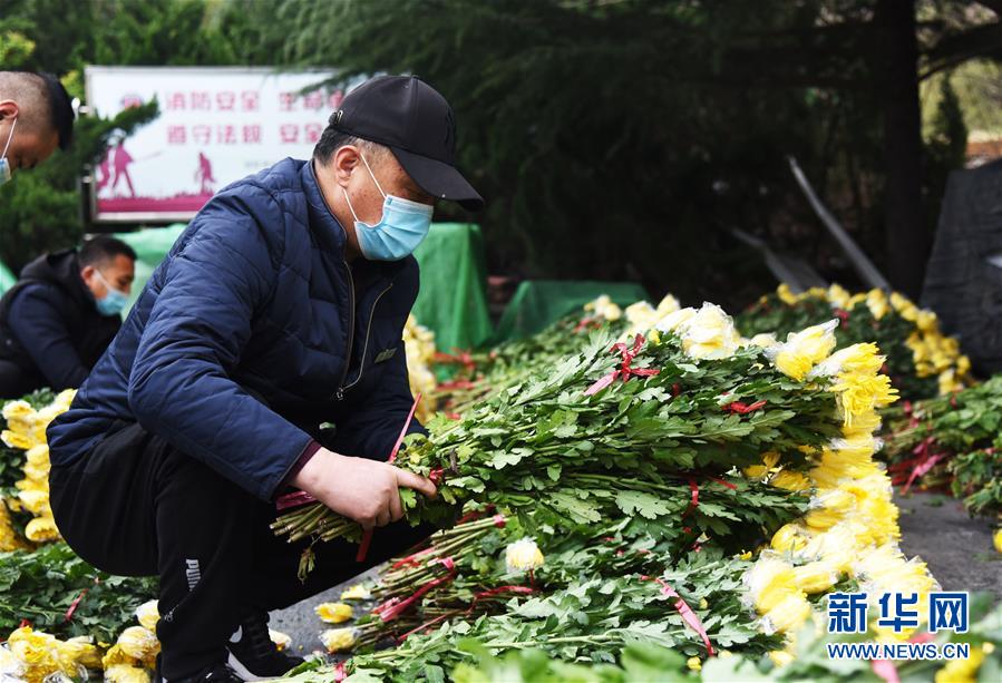 （社会）（4）清明代祭寄哀思