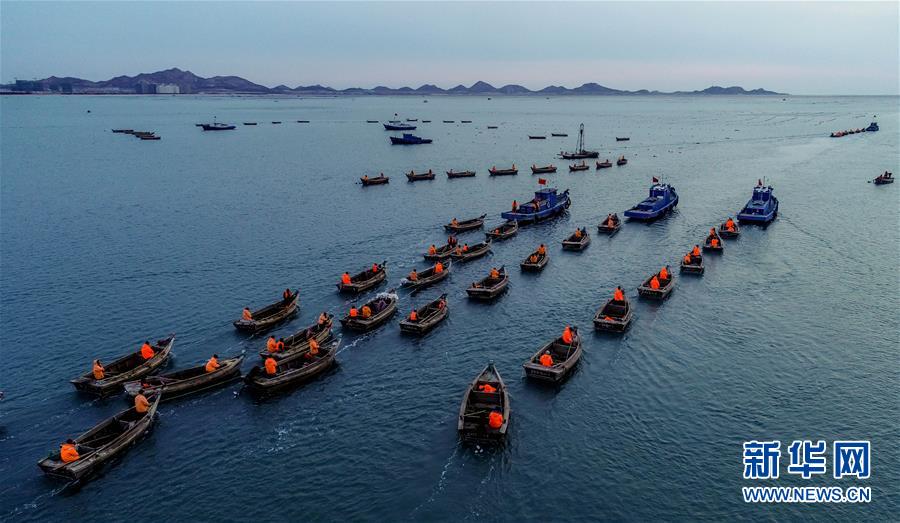 #（视·觉）（2）山东荣成：看百舸争流  海带收获正当时