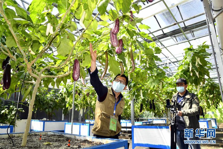 ï¼ç¤¾ä¼ï¼ï¼2ï¼âäºâæ¸¸å¯¿åèåä¼