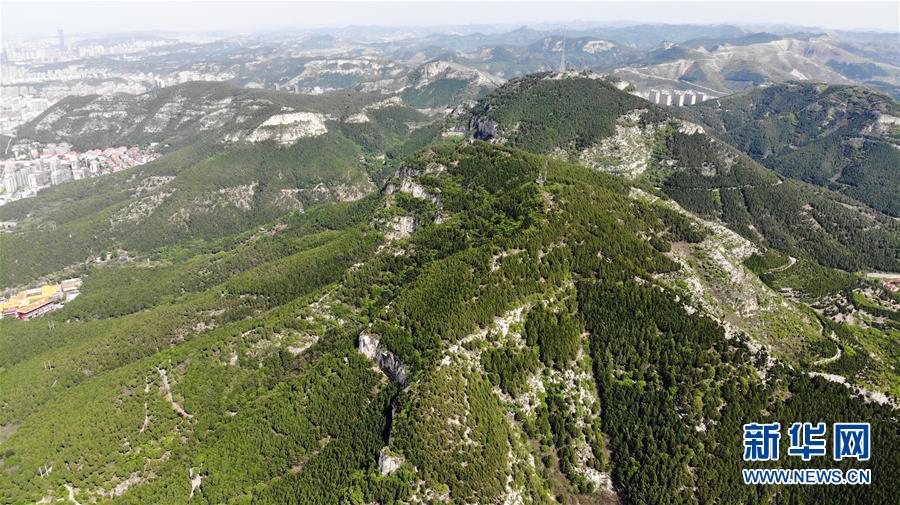 （春季美丽生态）（5）济南：佛慧山春意浓