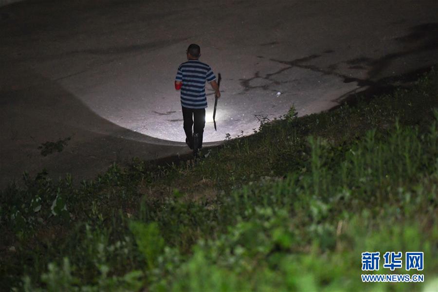 （防汛抗洪·图文互动）（1）“保卫家园，谁都不能是旁观者”——夜访洞庭湖大堤防汛一线