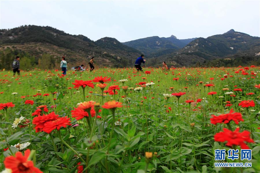 #（坐着高铁看中国）（3）山东临沂：高铁进沂蒙 旅游增活力