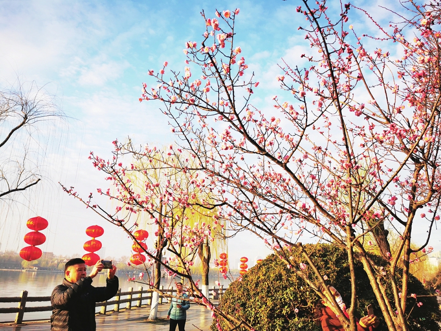 泉城春日好风光