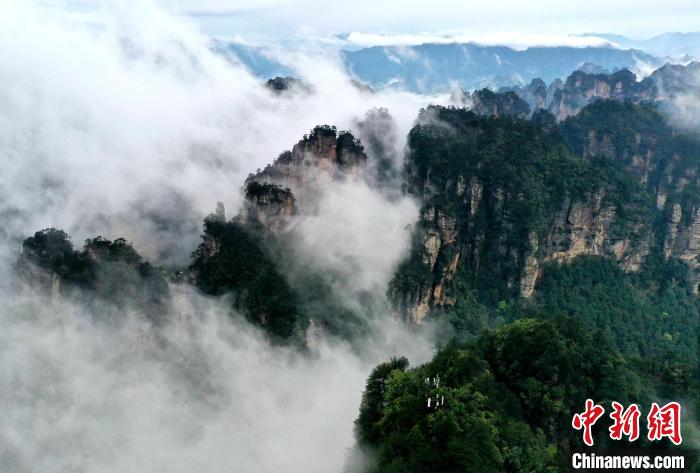 云雾萦绕在峰林间，宛若仙境。