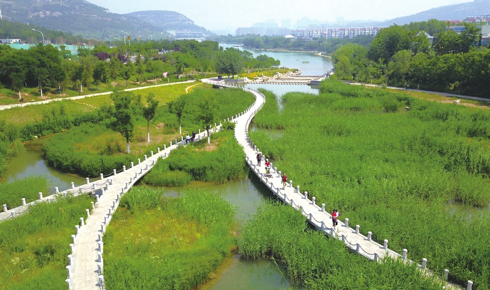 碧草茵茵“凤凰湖”