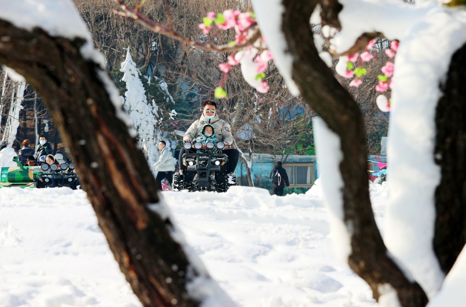 来跑马岭·齐鲁雪乡乐度新年假日